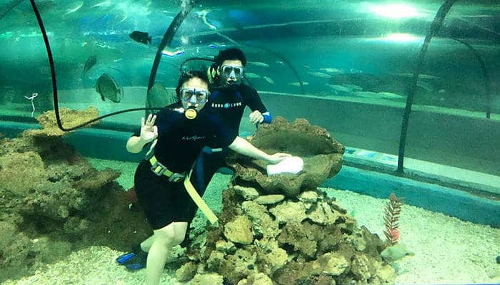 31. Dive at the Boracay Aquarium - Things to do in Boracay: 35 Activities for Backpackers