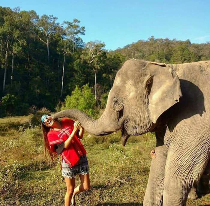 Elephant Camp, Thailand