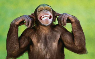 Placeholder-Image-400x250.jpg?fd3260