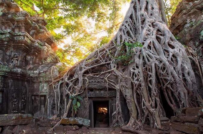 Cambodian Sight #5: Ta Prohm - 13 Cambodian Sights That Will Drive Your Instagram Followers Insane