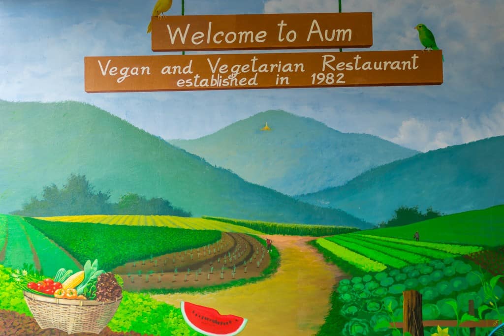Where to eat in Chiang Mai on a budget: Aum Vegetarian