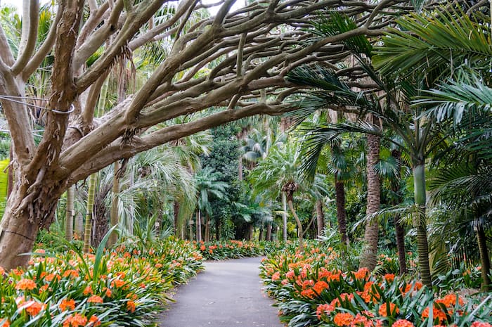 Things to do in Sydney CBD: Royal Botanic Gardens - Top Things to do in Sydney CBD