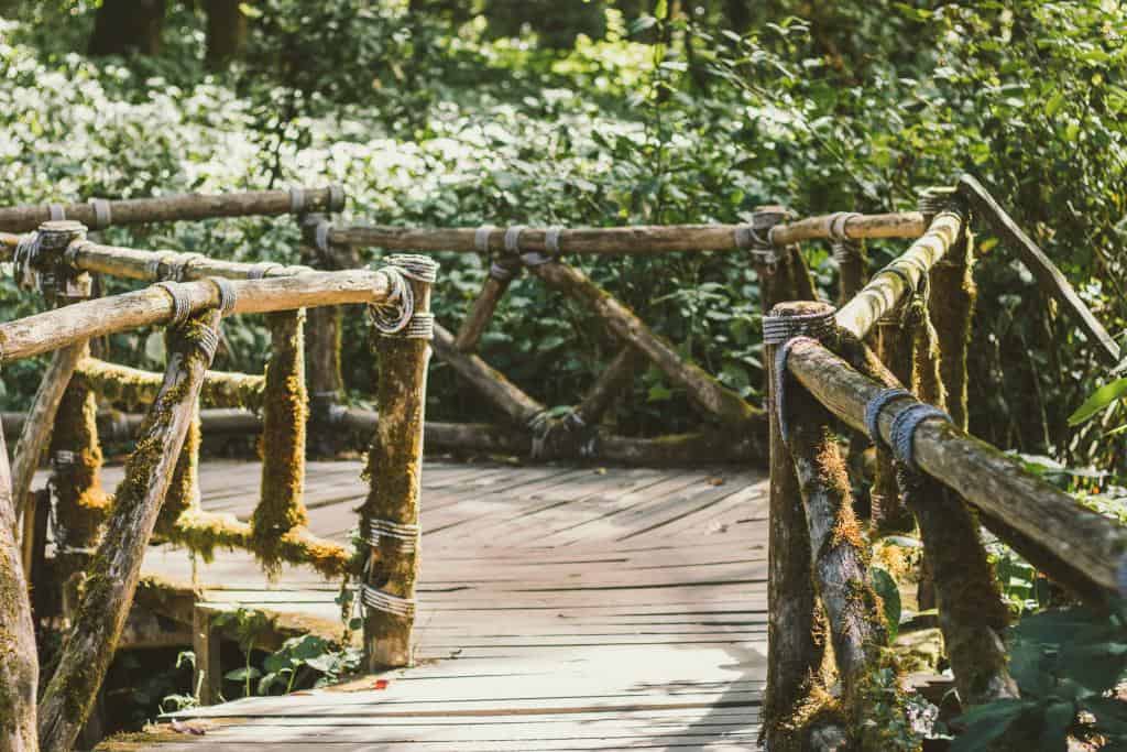 Angkha Nature Trail