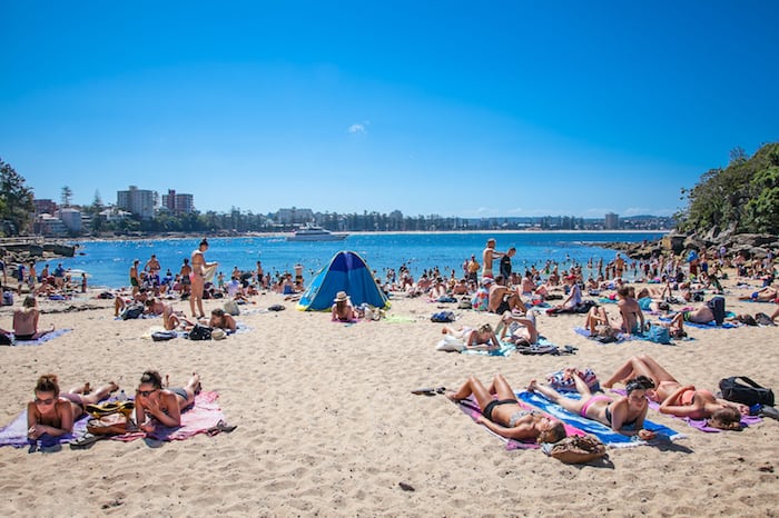 Best Snorkeling Beach in Sydney: Shelly Beach - Sydney Beaches: List of the Top 12 Beaches You Must Visit in 2019