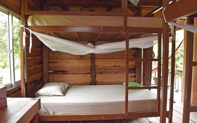 samloem koh rong monkey mad