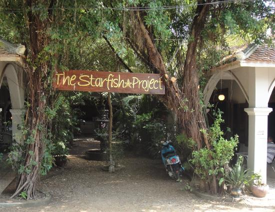 Restaurants in Sihanoukville - Starfish Bakery