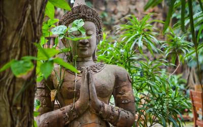 14 Unique Things to do in Chiang Mai