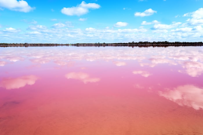Hutt Lagoon (Pink Salt Lake) in Western Australia