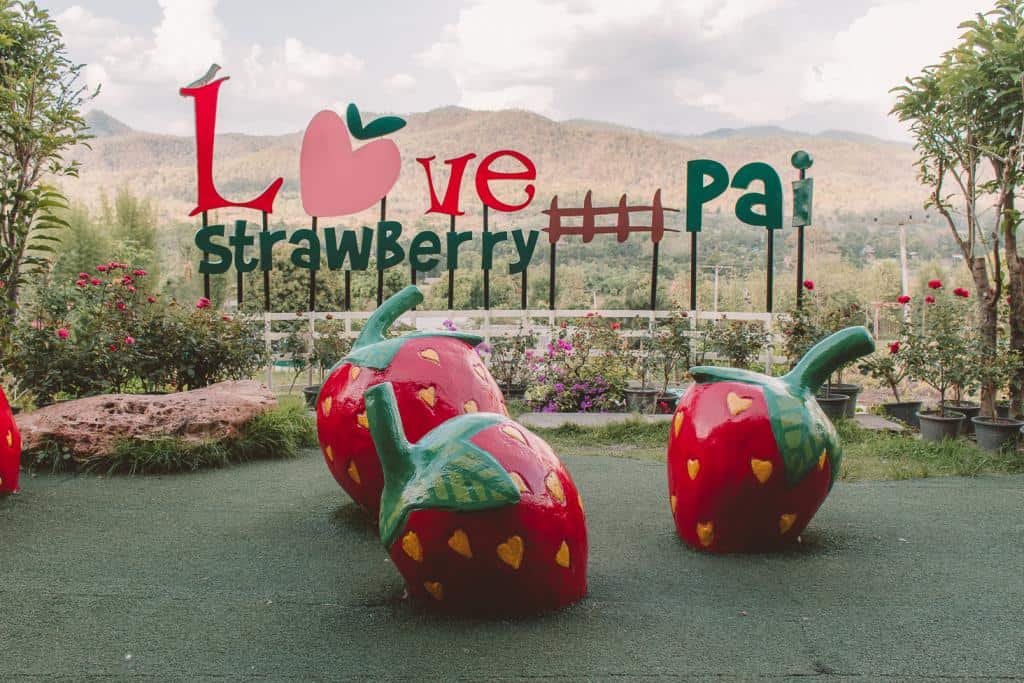 Stop by Love Strawberry - Pai Travels: How to Spend 48 Hours in this Northern City
