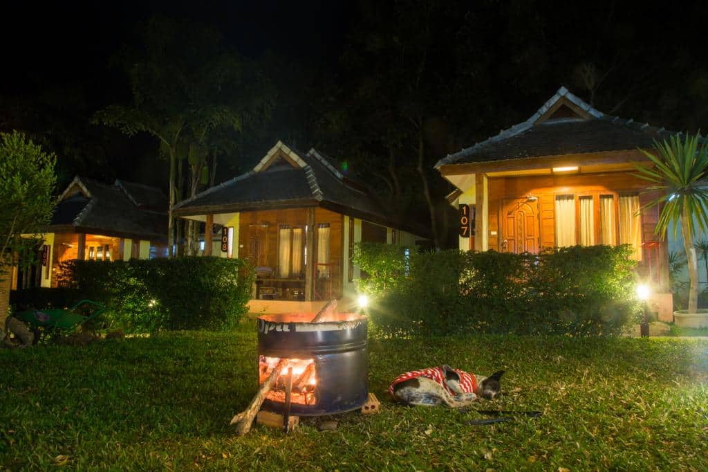 Mad Monkey Hostel Pai - Things to do in Pai After Dark: a Guide to the Best Bars