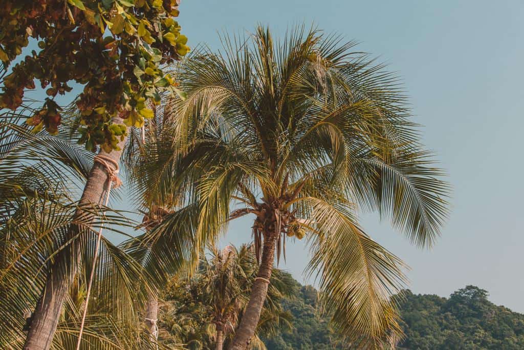 11 Ways to be More Health-Conscious on Your Holiday to Koh Phangan