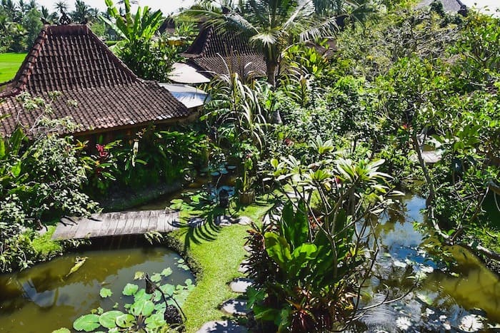 Dragonfly Cafe - Ubud Cafes: Best Places in Bali for Breakfast and Brunch