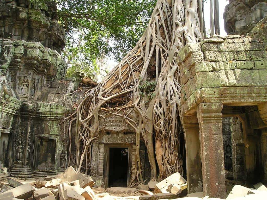 See Ancient Ruins at Angkor Wat