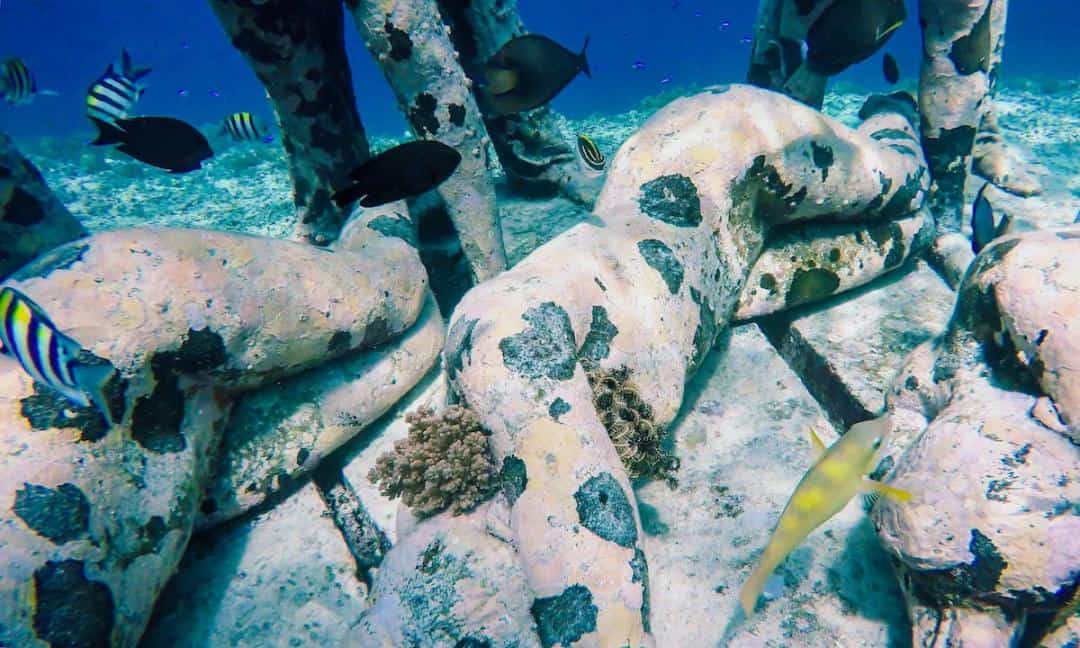 Gili Meno Statues A Guide to the Underwater Statues in Indonesia