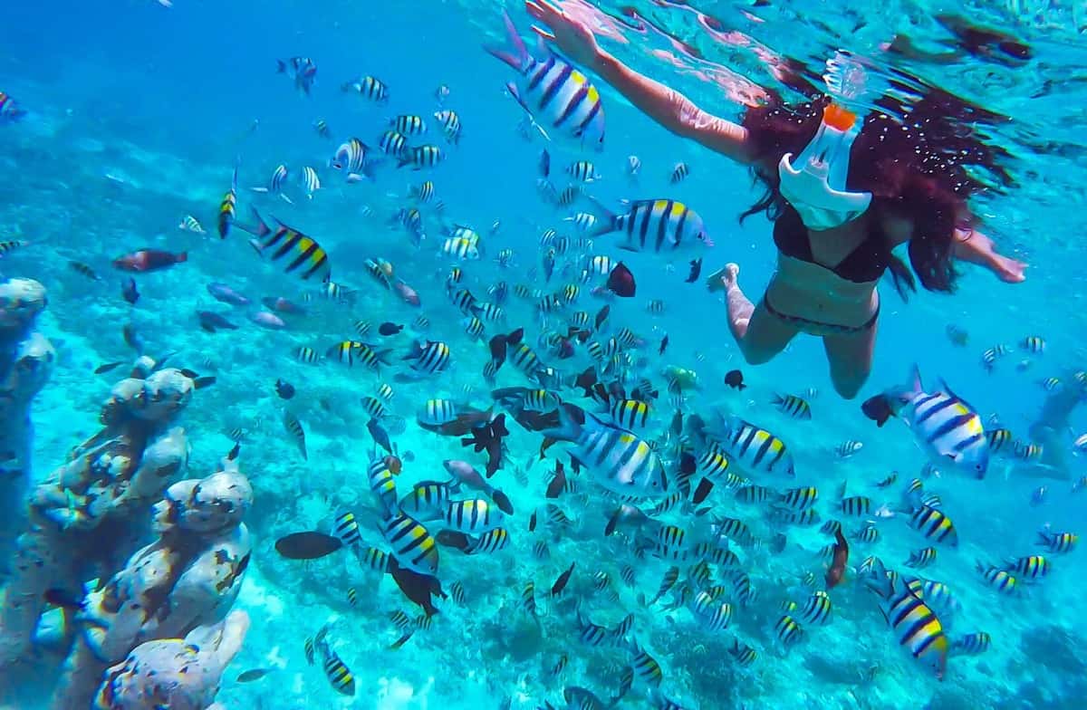 2. Go Snorkeling - Top 15 Things to do in Gili Trawangan, Indonesia