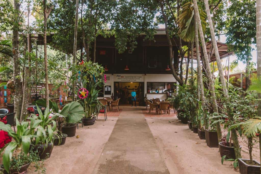 Vegetarian Cooking and Yoga Classes: Peace Cafe - Vegetarian and Vegan Restaurants in Siem Reap 2019