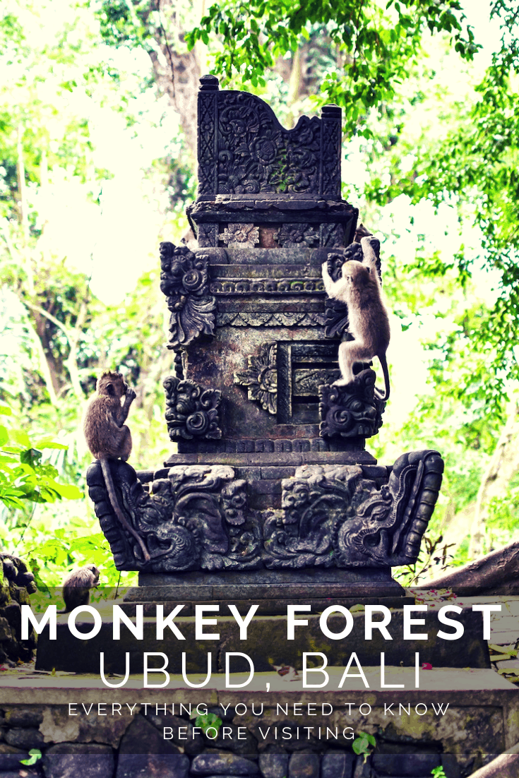 Ubud Monkey Forest: Everything You Need to Know Before Going