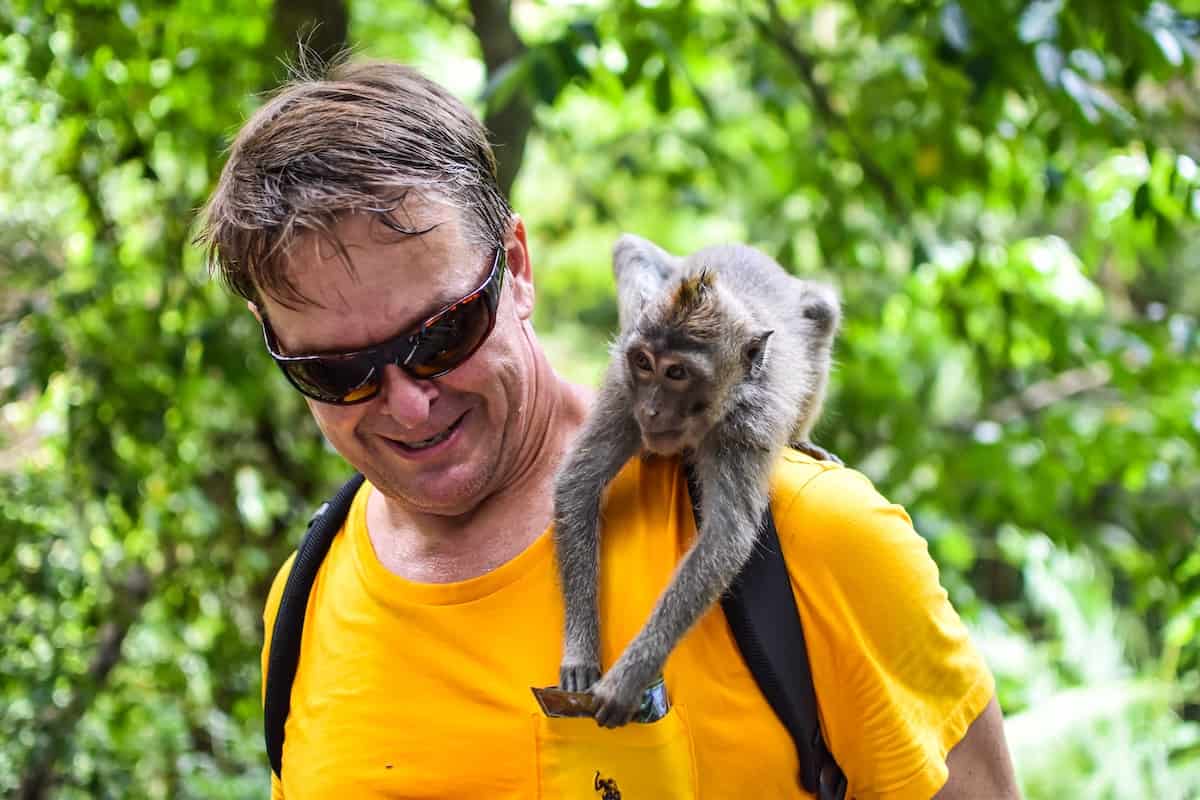 Common Questions: - Ubud Monkey Forest: Everything You Need to Know Before Going