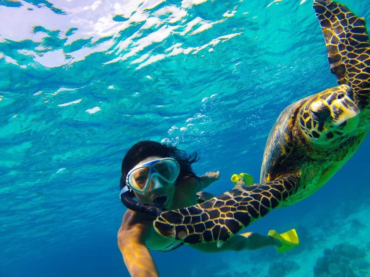 3. Snorkeling with Sea Turtles - The Most Instagrammable Spots on Gili Trawangan