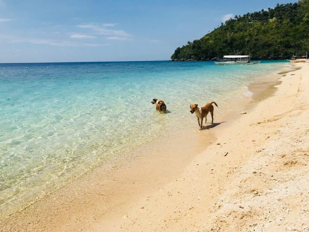 4. Hermit’s Cove, Aloguinsan - 8 Backpacker Budget-Friendly Beaches in Cebu