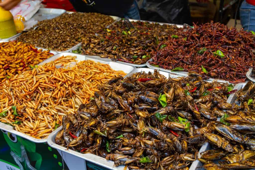 Insect Snacks - The Coolest and Most Interesting Traditions in Thailand