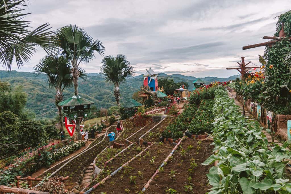 Sirao Flower Garden - The 9 Most Instagram-Worthy Spots in Cebu City, the Philippines